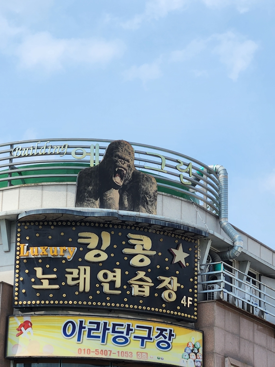 킹콩노래연습장 이미지