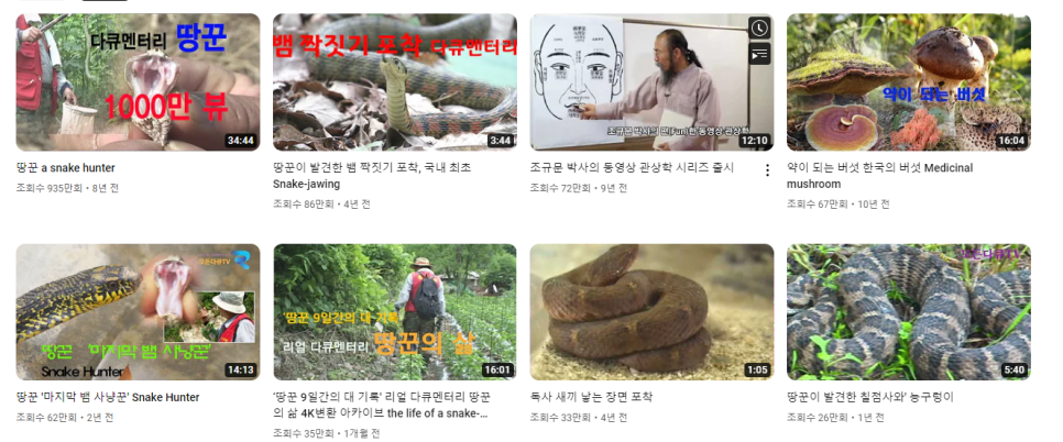 주노기획 이미지
