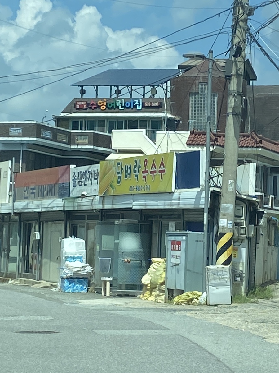 담벼락옥수수 이미지