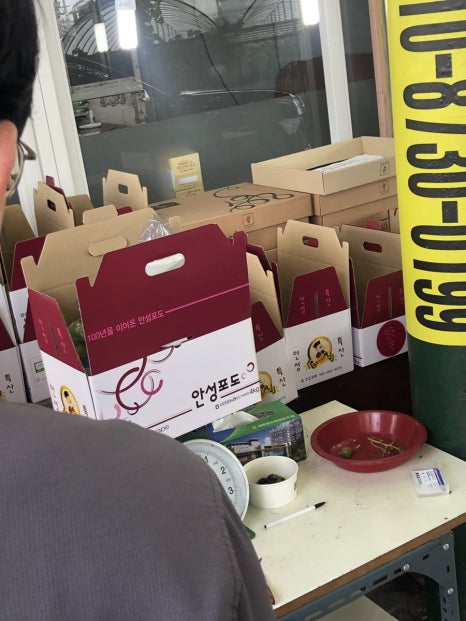 R.P.C포도밭 이미지