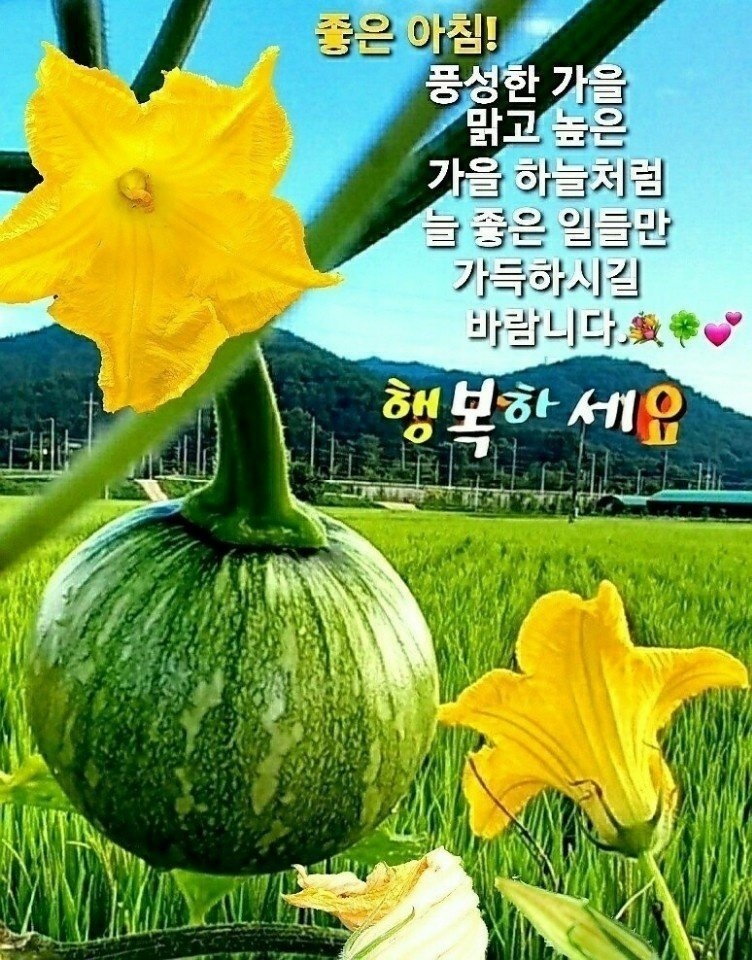월드홍익선원 이미지