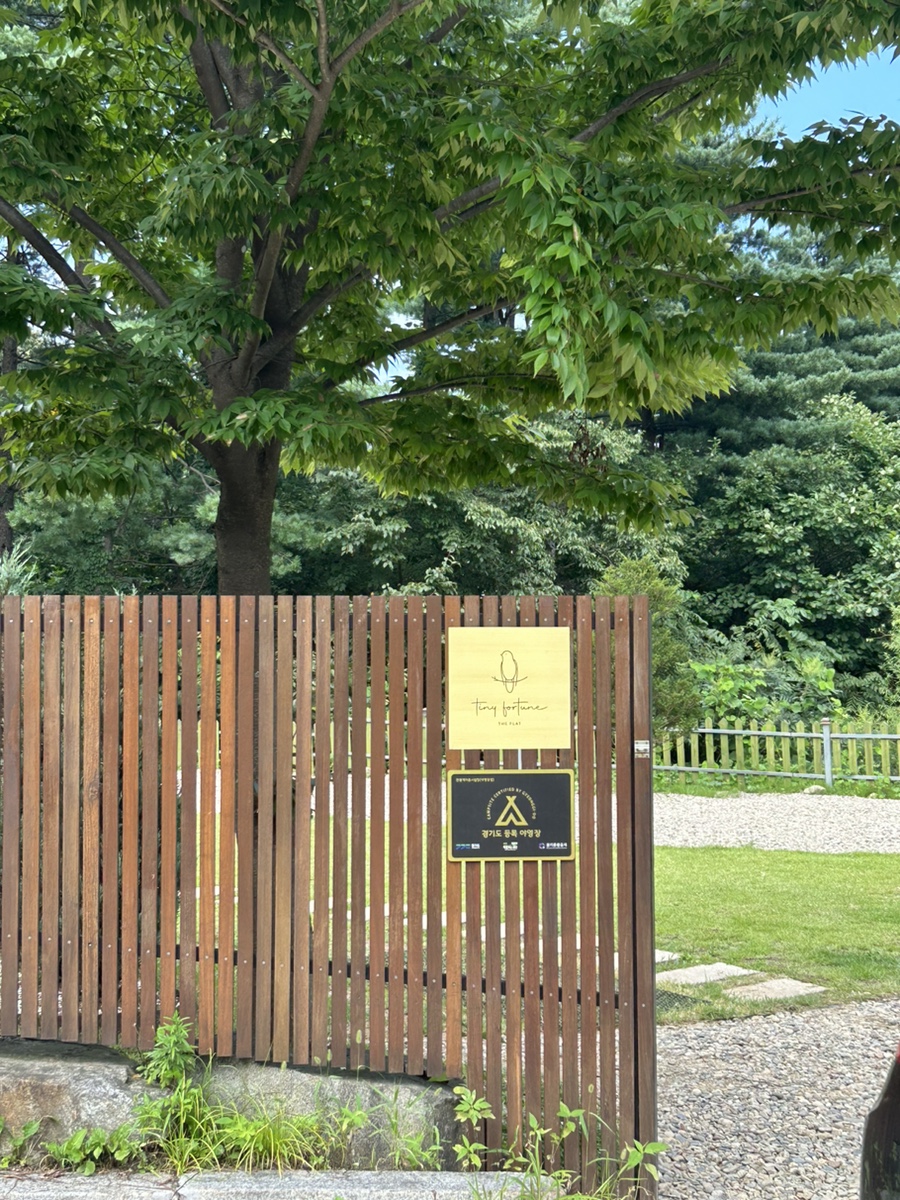 타이니포춘 이미지
