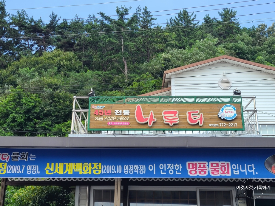 영덕고래불회 이미지
