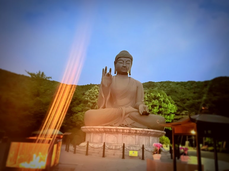 려홍 이미지