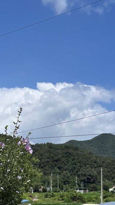 새재타이어 이미지