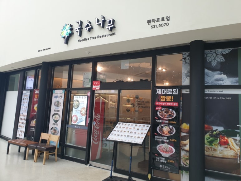펜타포트국수나무 이미지