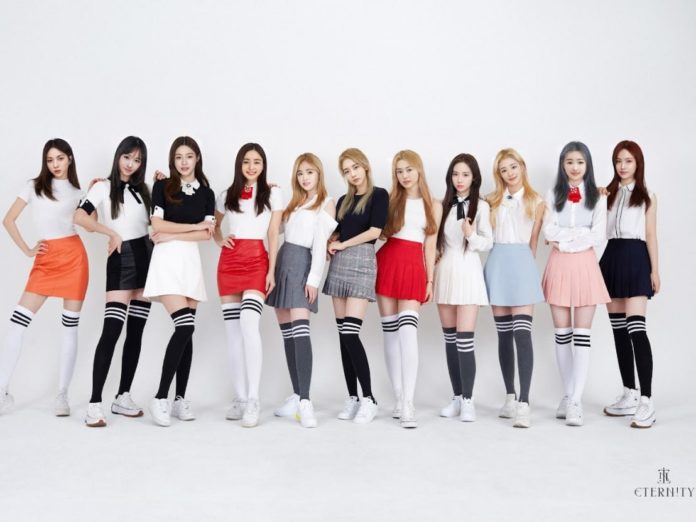휴먼프로젝트 이미지