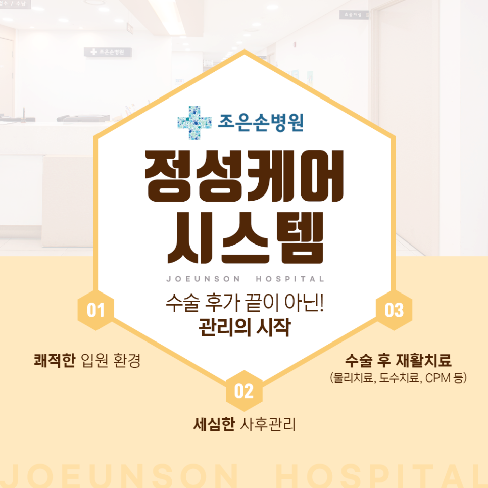 조은손 이미지