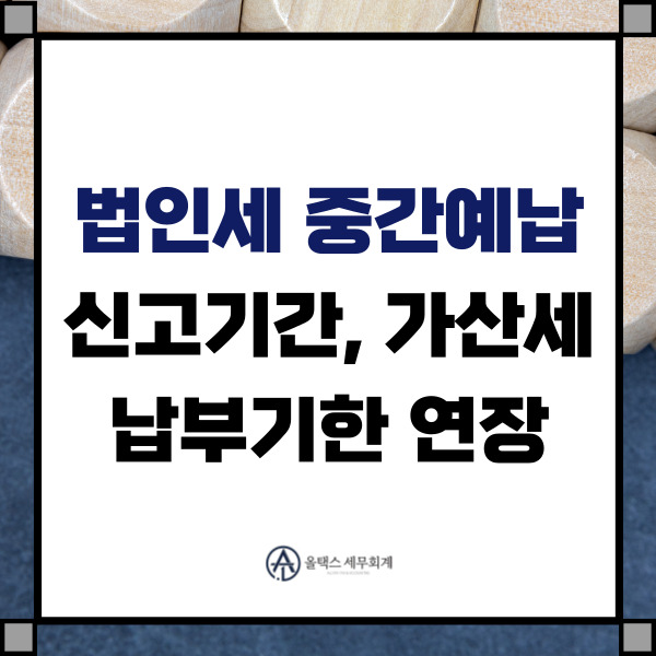 올택스세무회계 이미지
