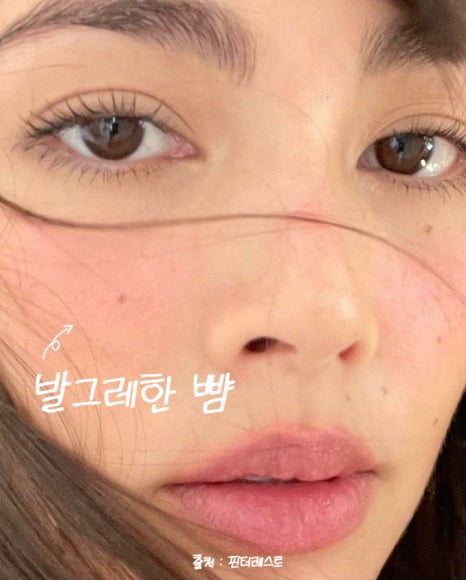 모어클린 이미지