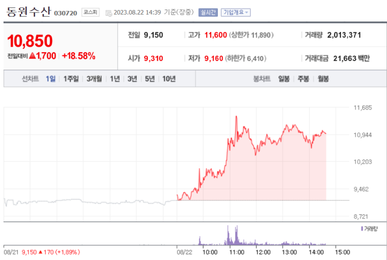 신라에스지 이미지