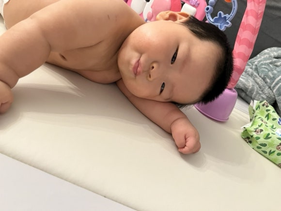 크립토마토 이미지