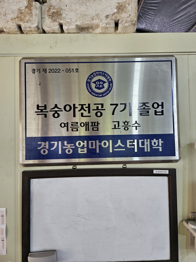 여름애팜 이미지