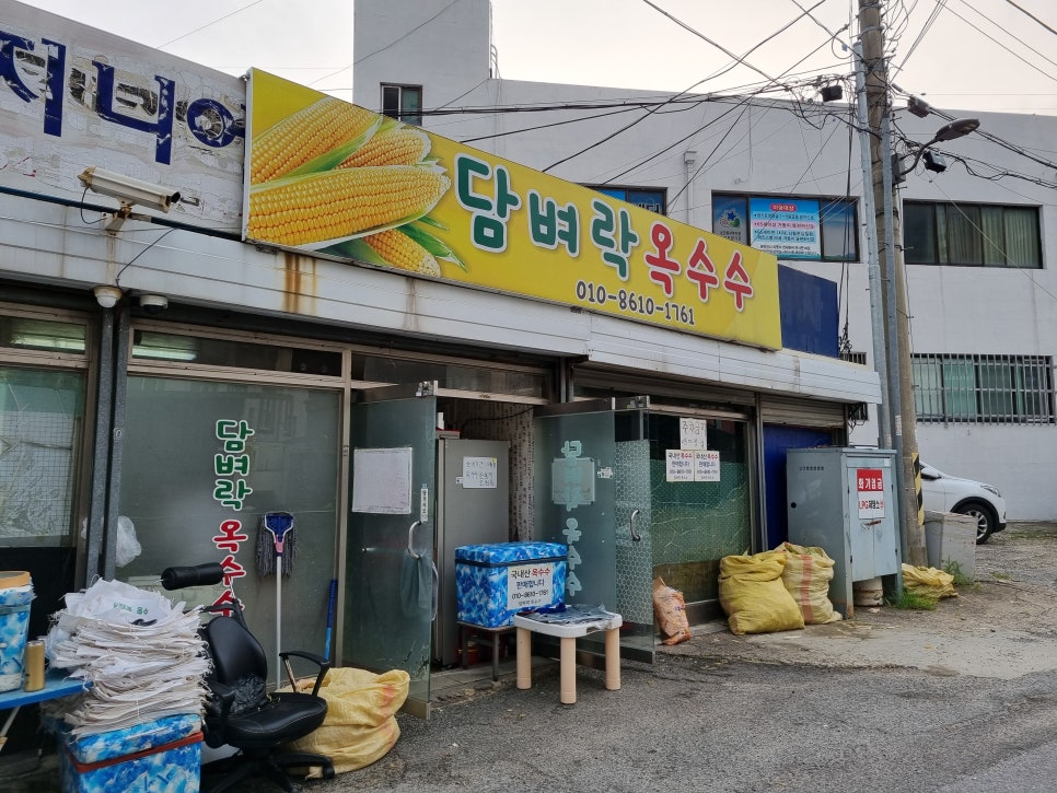 담벼락옥수수 이미지