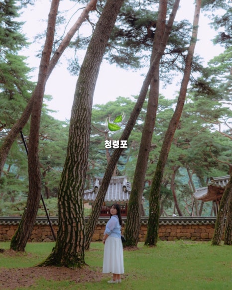 별바우한우 이미지