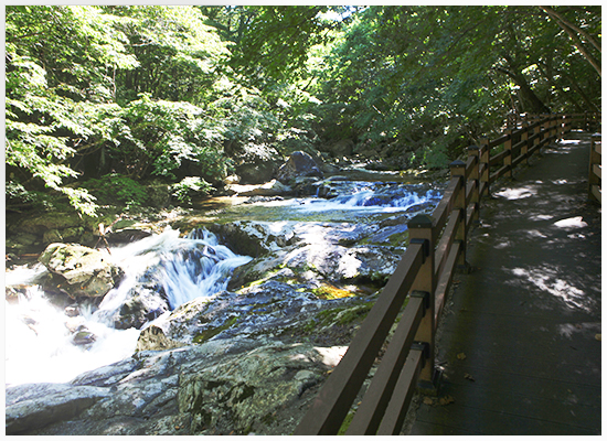 충주LPG충전소 이미지