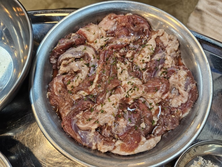돗배갈매기 이미지