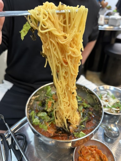 돗배갈매기 이미지