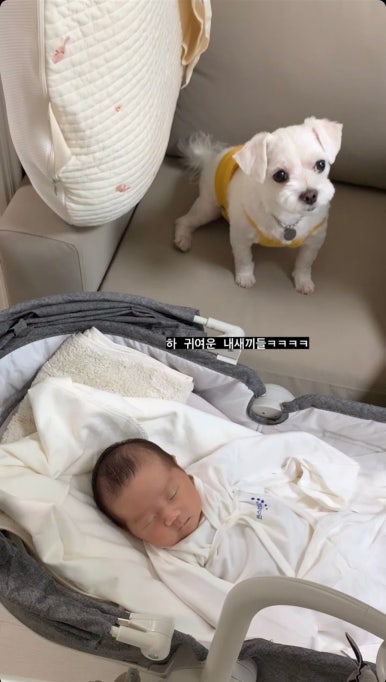 시아로또 이미지