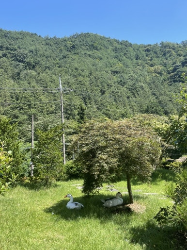 용수동길57 사진 4