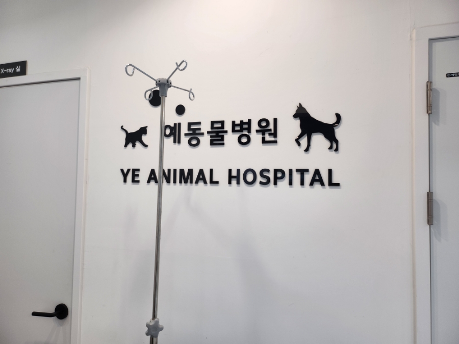 예동물병원