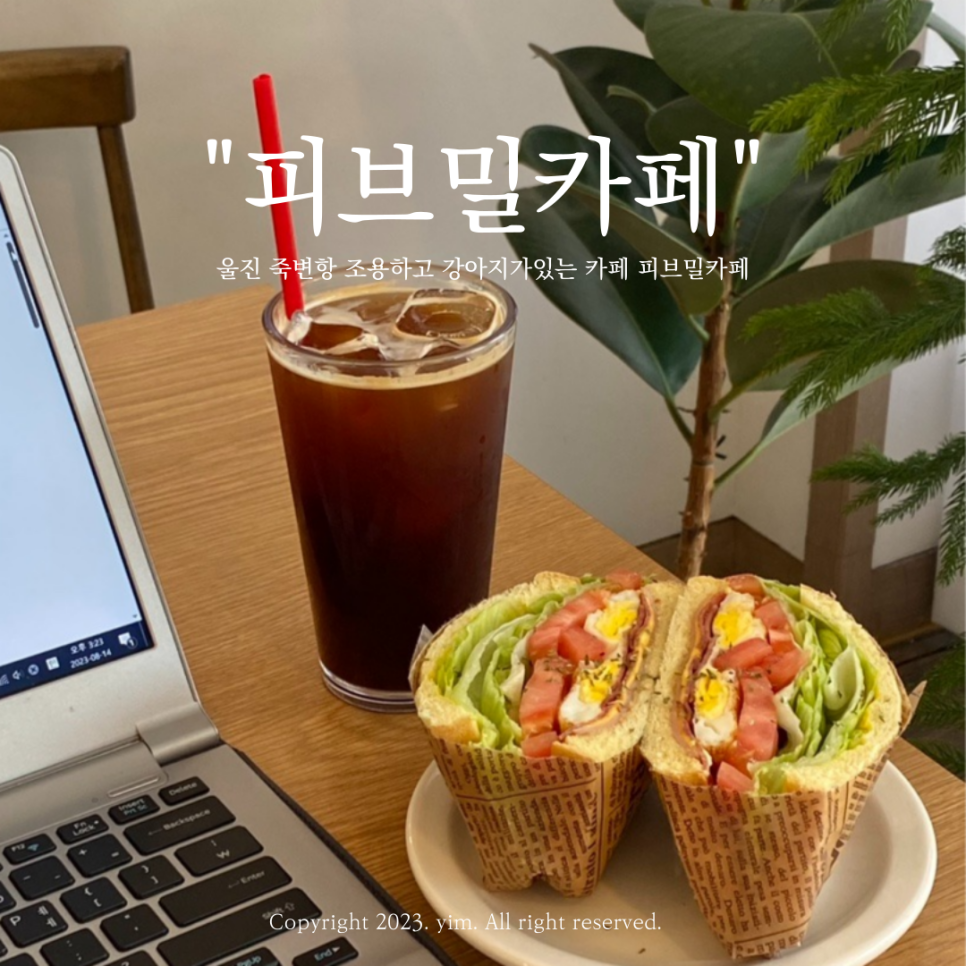 피브밀카페 이미지