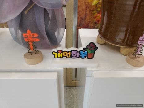 꽃나비다육 이미지