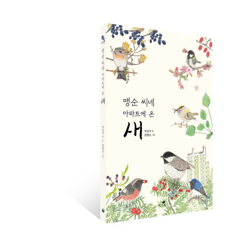 탐조책방 이미지