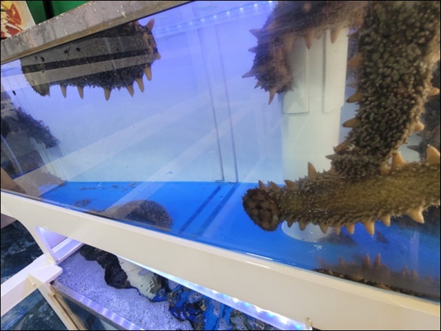 팔팔회센타 이미지