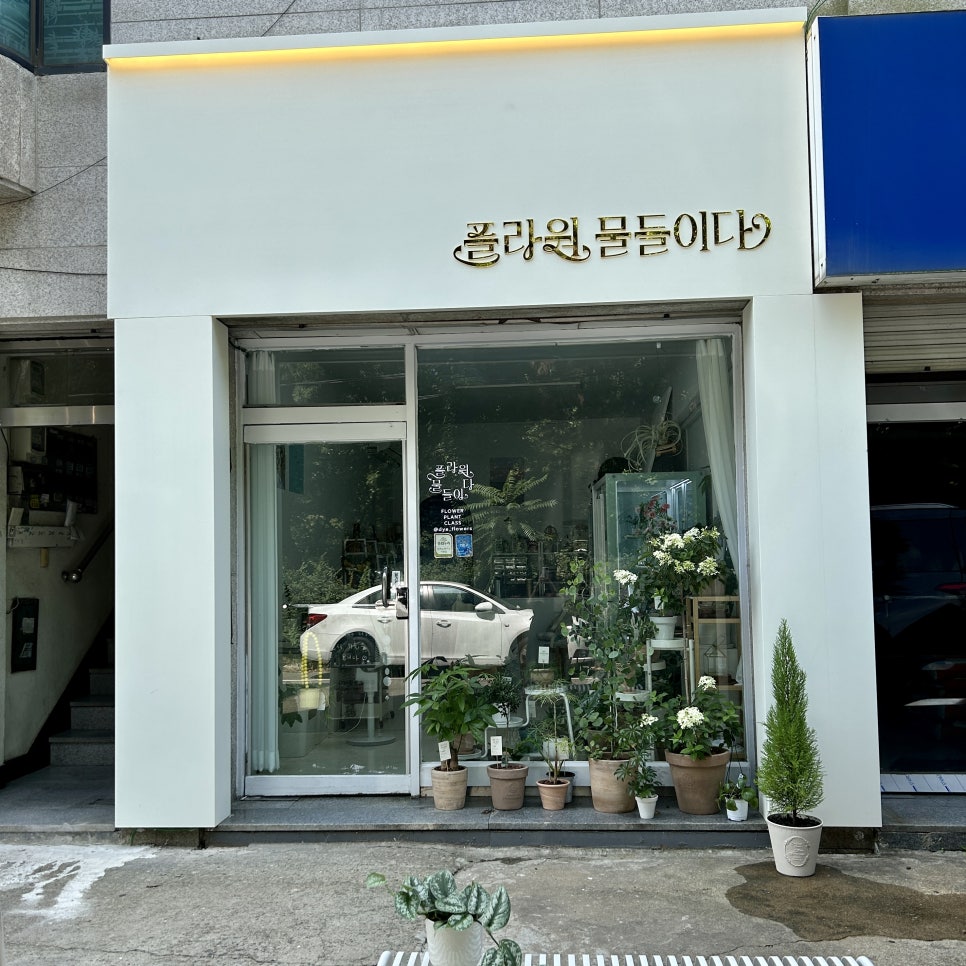 플라워물들이다 이미지
