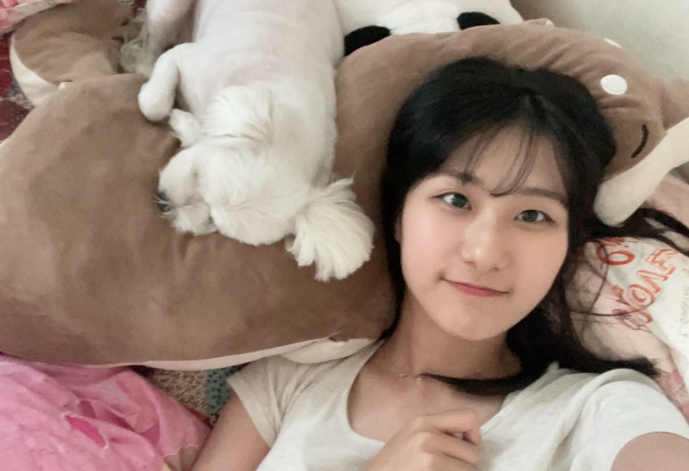 해민메이트 이미지
