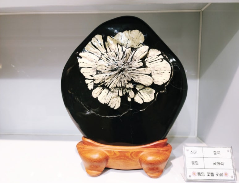 주야장창 이미지