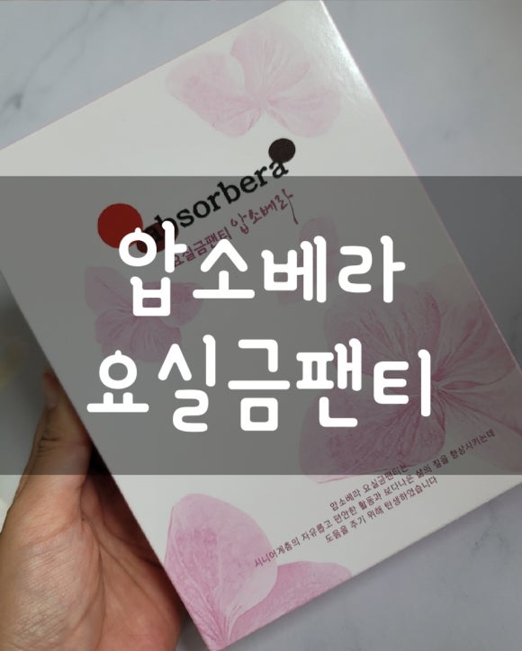 지디컴퍼니 이미지