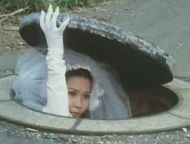 법률사무소대연 이미지