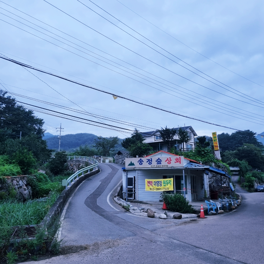 송정상회 이미지