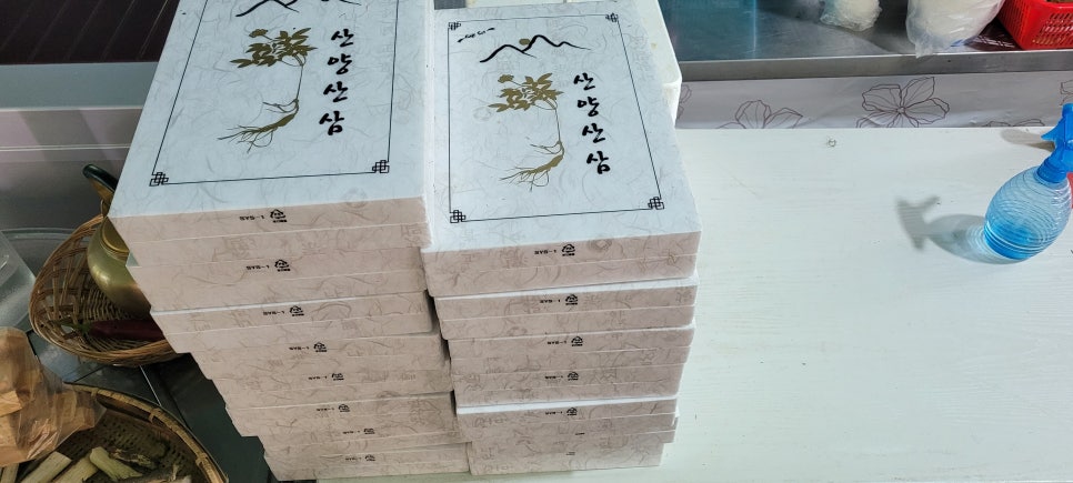 용인시체육회 이미지