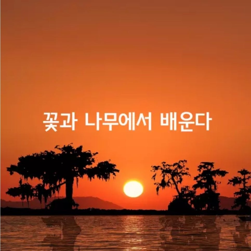 꽃과나무 이미지