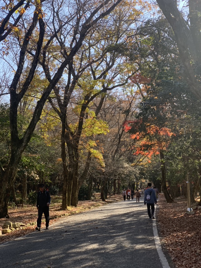역전할머니맥주(평화광장점) 이미지