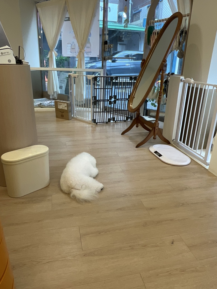 사랑옵다네일 이미지