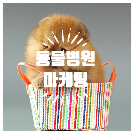 위너컴퍼니 이미지