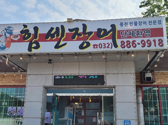 싱싱장어 이미지