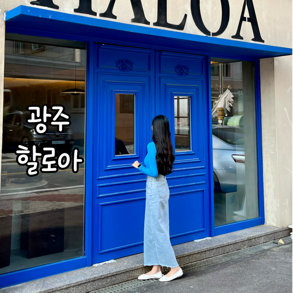 할로아 이미지