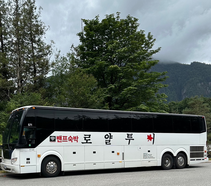 보우플랜 이미지