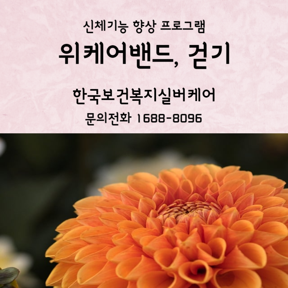 한국보건복지실버케어 이미지