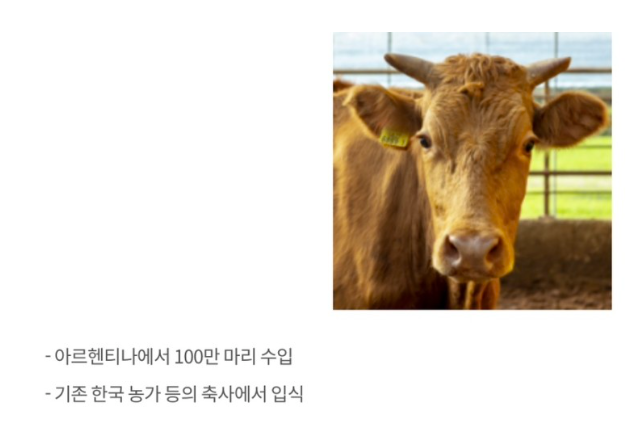 주식회사 보고바이오 이미지