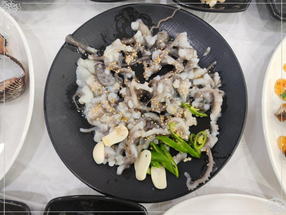 낙지대통령 이미지