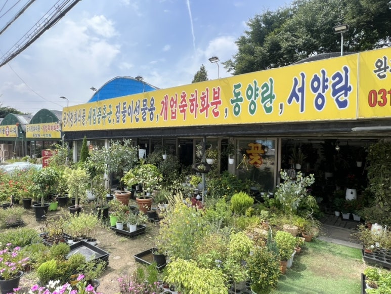 식물꽃나라 이미지