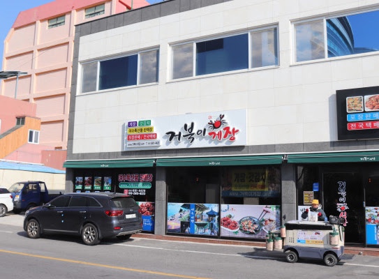 거북이 몰 이미지