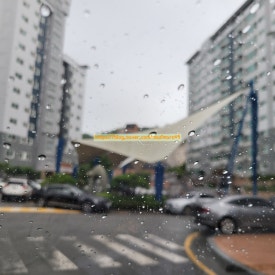 진아에듀 이미지