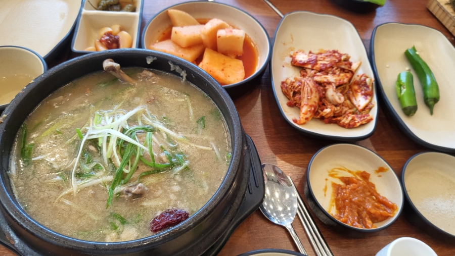 초애 이미지